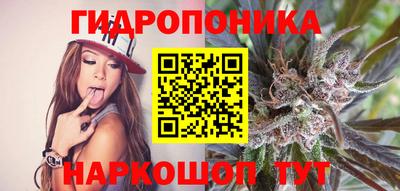 каннабис Сланцы